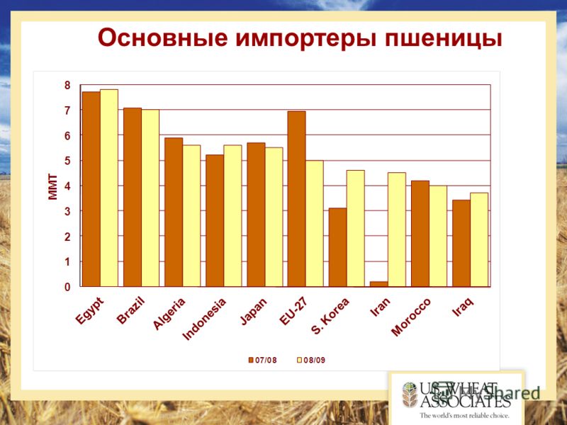 Импортеры пшеницы в мире. Импортеры пшеницы.