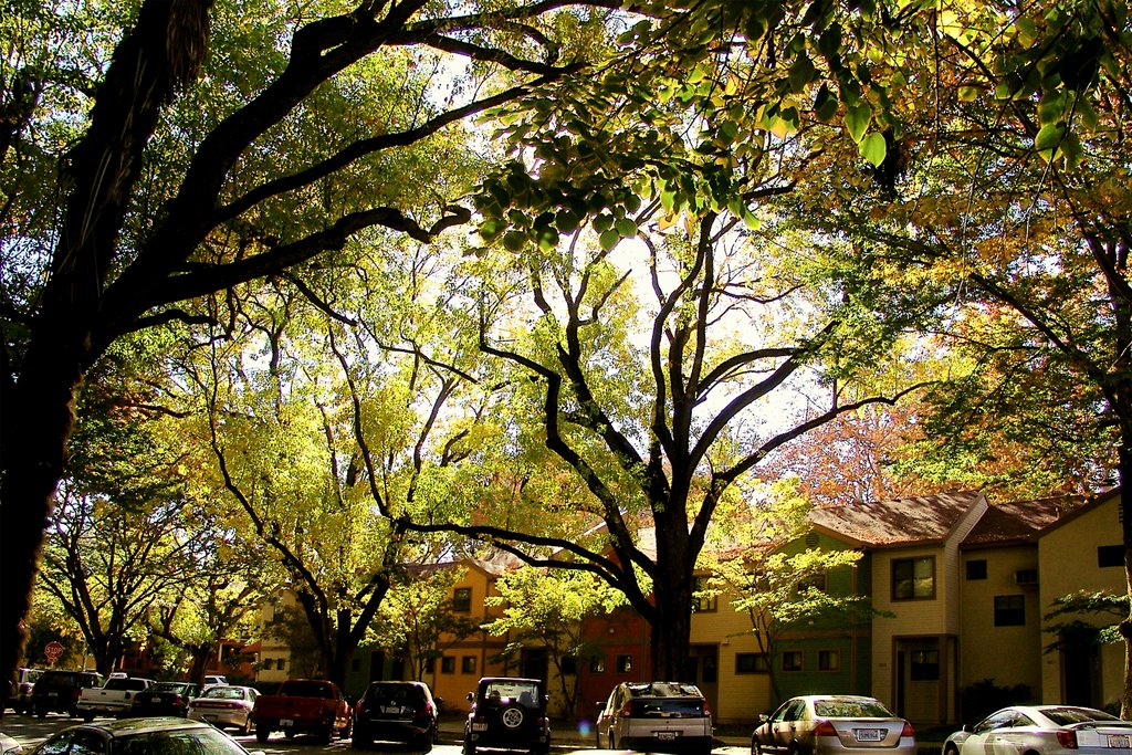 Сакраменто калифорния. Сакраменто США. Сакраменто улицы. Город Sacramento Sacramento в США. Сакраменто Калифорния улицы.