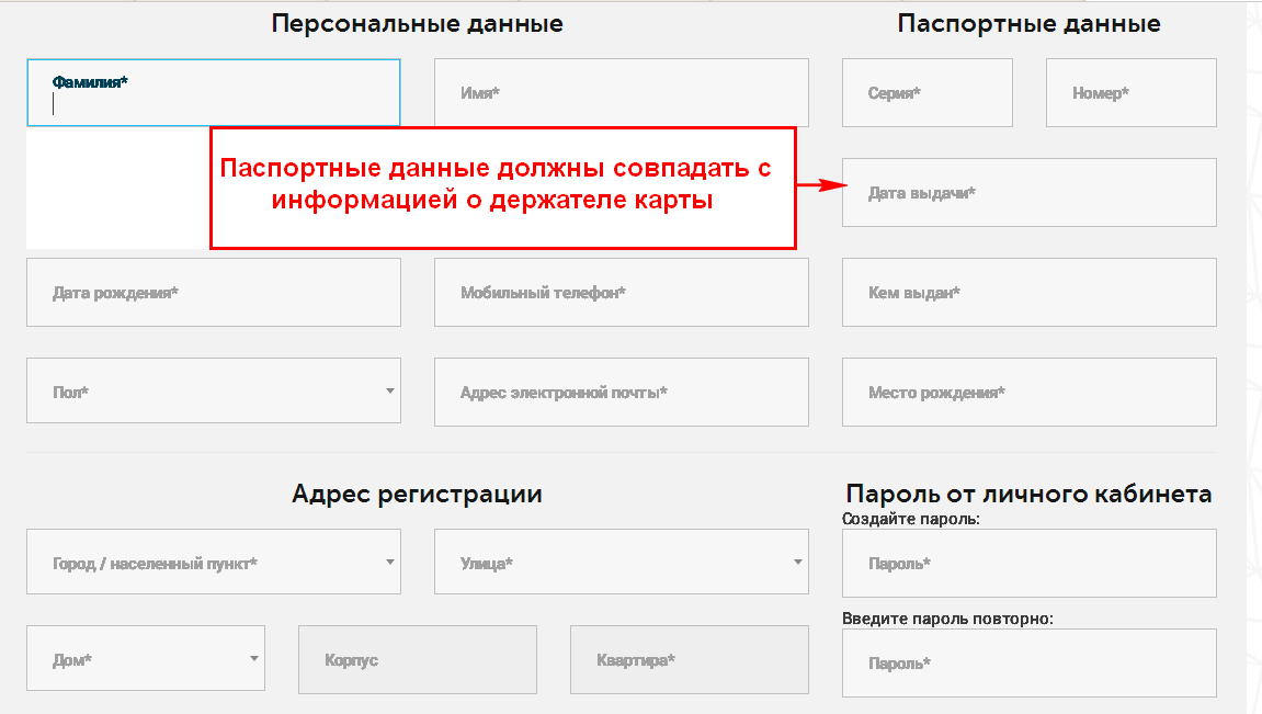 Что входит в паспортные данные