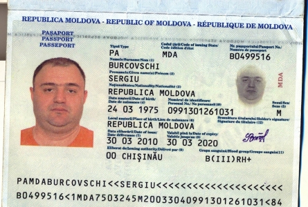 Серия и номер паспорта фото