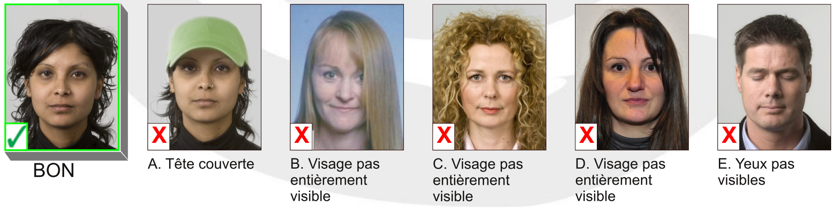 Виза франция требования к фотографии