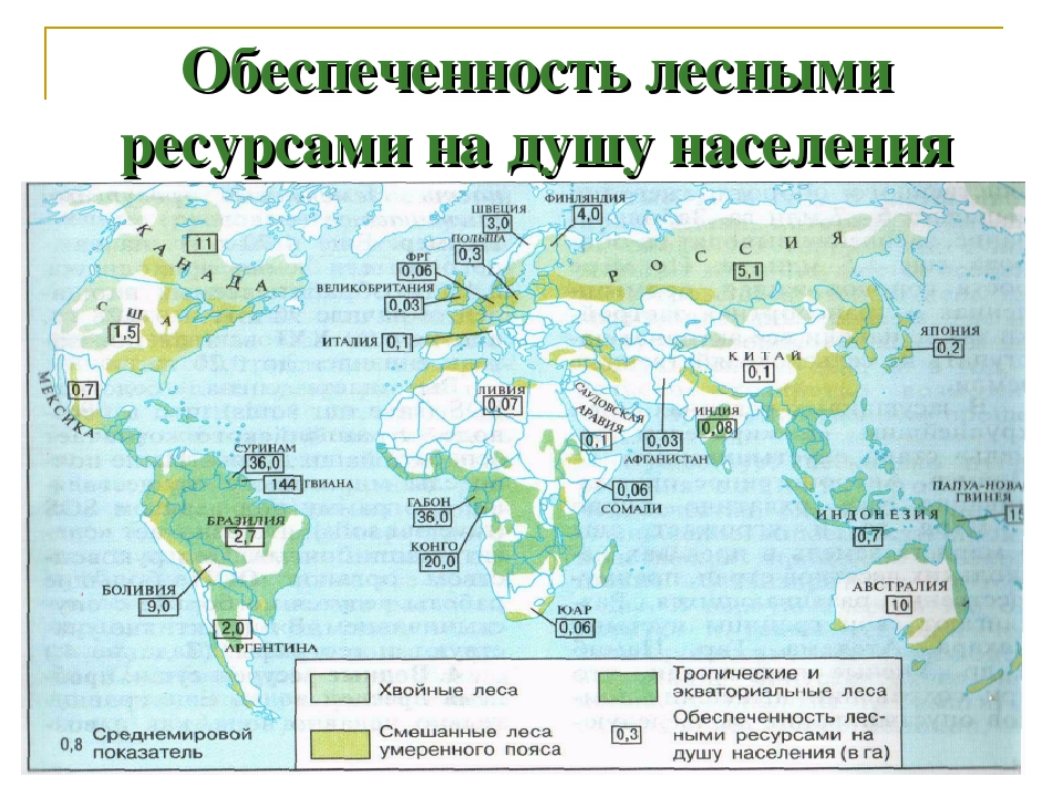 Мир без ресурсов. Обеспеченность лесными ресурсами на душу населения. Страны богатые лесными ресурсами. Обеспеченность лесными ресурсами Финляндии.