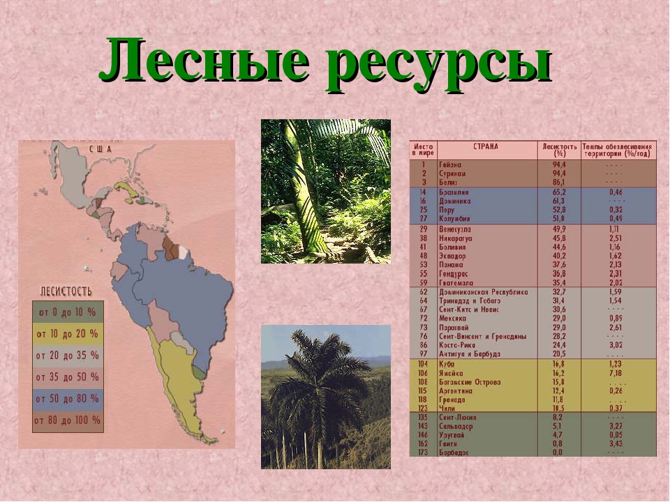Карта лесов Латинской Америки. Лесные ресурсы Латинской Америки. Лесные ресурсы Латинской Америки карта. Лесные ресурсы Южной Америки таблица.