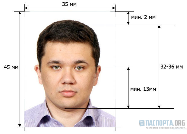 Грин карта шенген