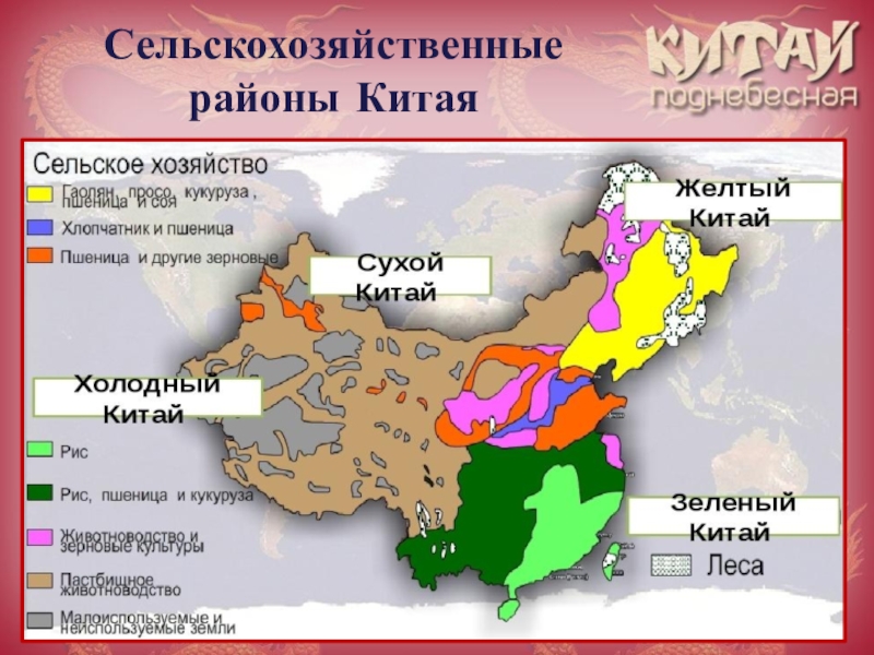 С х 3 зоны. Специализация сельского хозяйства Западного Китая. Земледельческие районы Китая. Сельскохозяйственные зоны Китая карта. Сельско хозяйственные районы Китая.